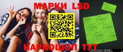 стафф Шелехов