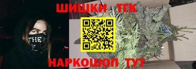 стафф Шелехов