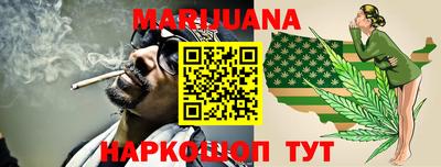 стафф Шелехов