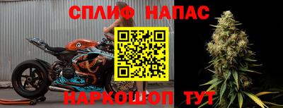 индика Шахты