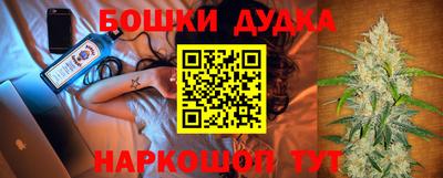 индика Шахты