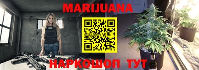 гидра Шебекино
