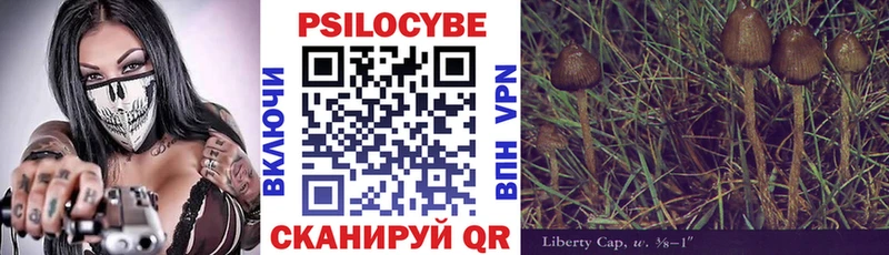 это наркотические препараты  Хасавюрт  Псилоцибиновые грибы MAGIC MUSHROOMS 