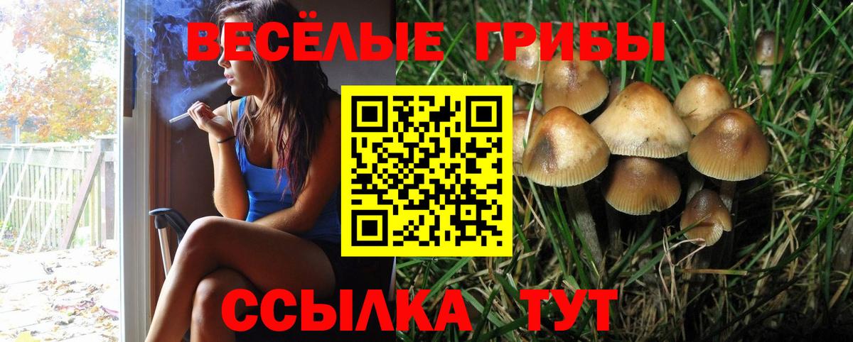 Псилоцибиновые грибы мухоморы  Вход с VPN  Псилоцибиновые грибы мухоморы  Хасавюрт 