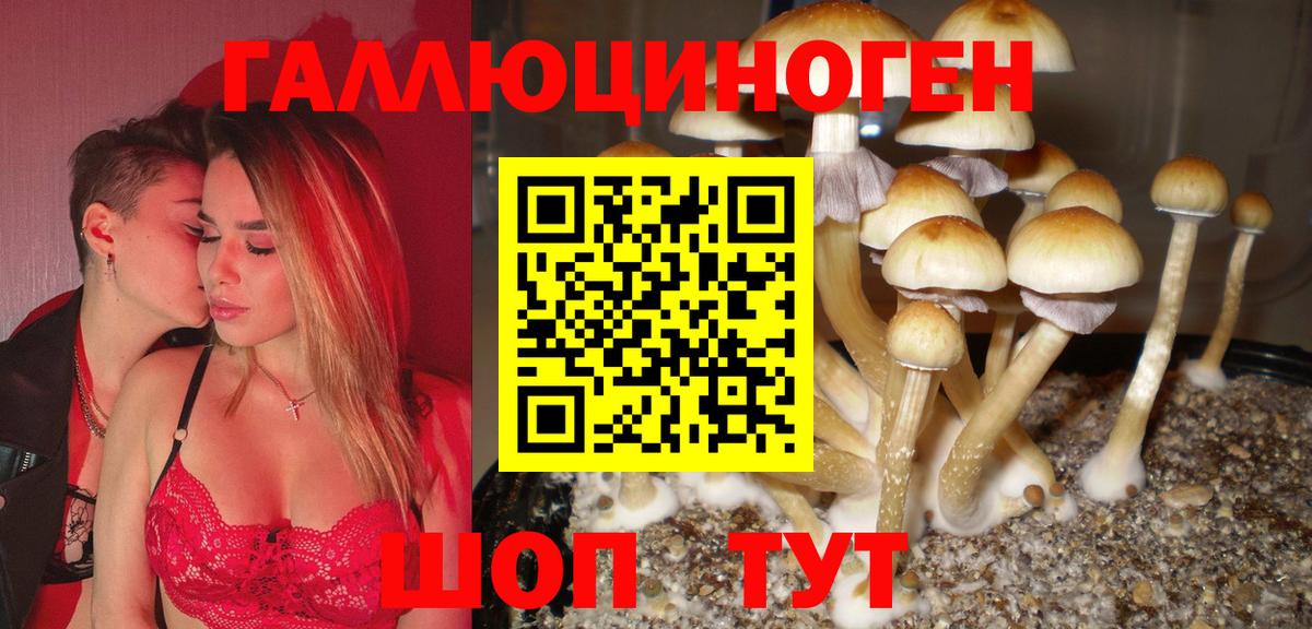 Псилоцибиновые грибы MAGIC MUSHROOMS Хасавюрт